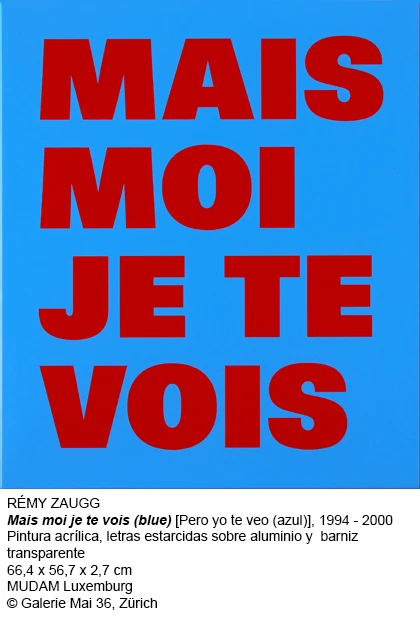Rémy Zaugg.Cuestiones de percepción 