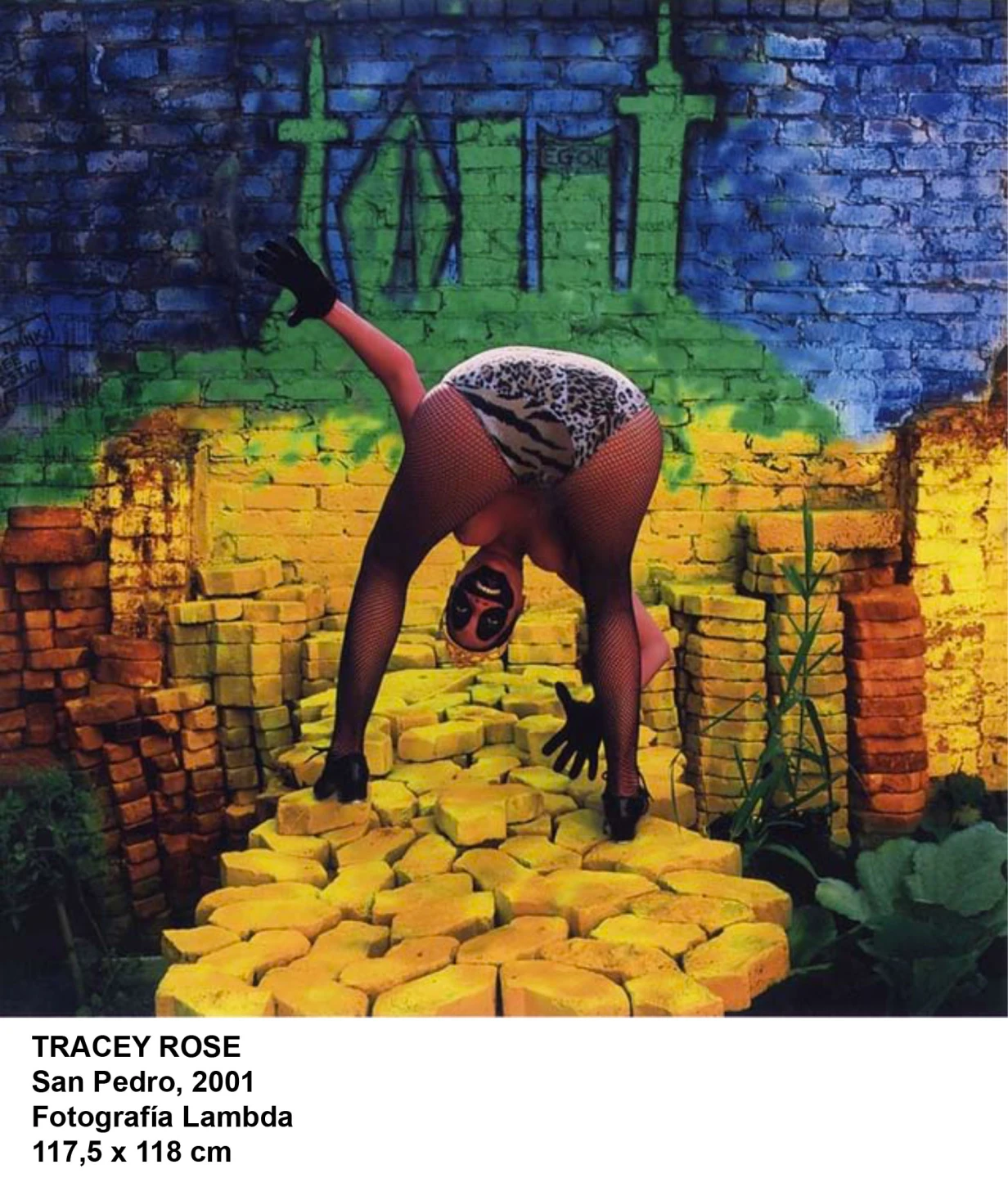 Tracey Rose (x). Vista de sala / gallery view (imagen 1)