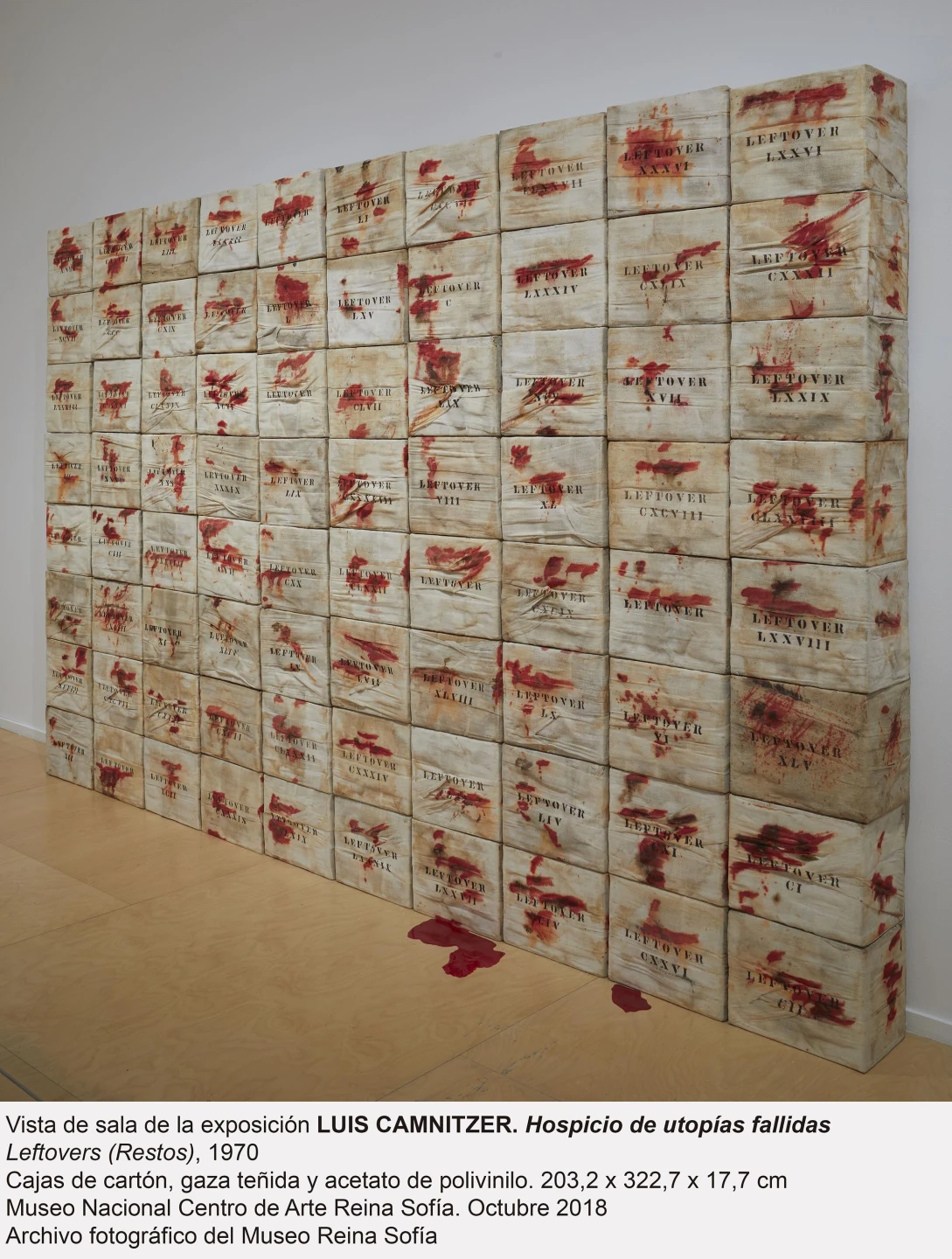 Luis Camnitzer. Hospicio de utopías fallidas 
