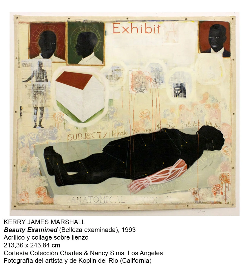 Kerry James Marshall. Beauty Examined (Belleza examinada), 1993