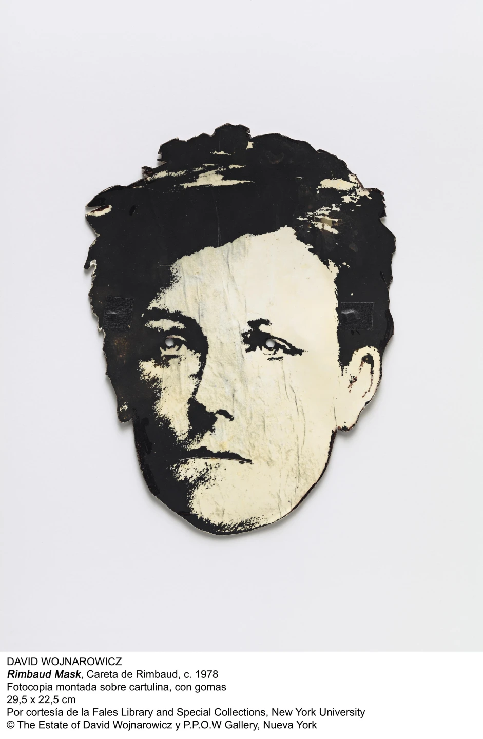 David Wojnarowicz. La historia me quita el sueño