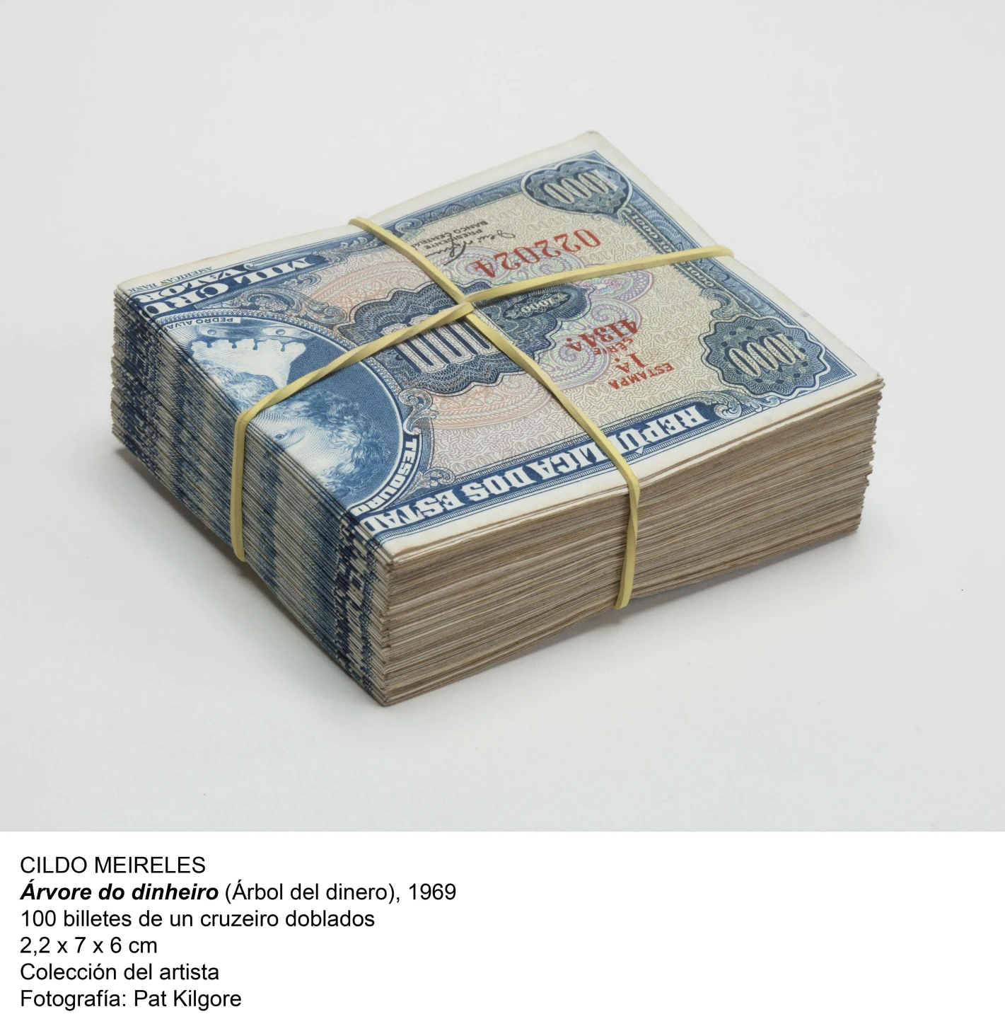 Cildo Meireles, Árvore do Dinheiro, 1969