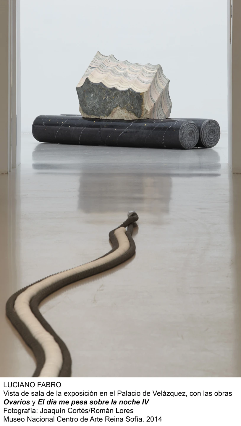 Vista de sala de la exposición con las obras Ovarios y El día me pesa sobre la noche IV 