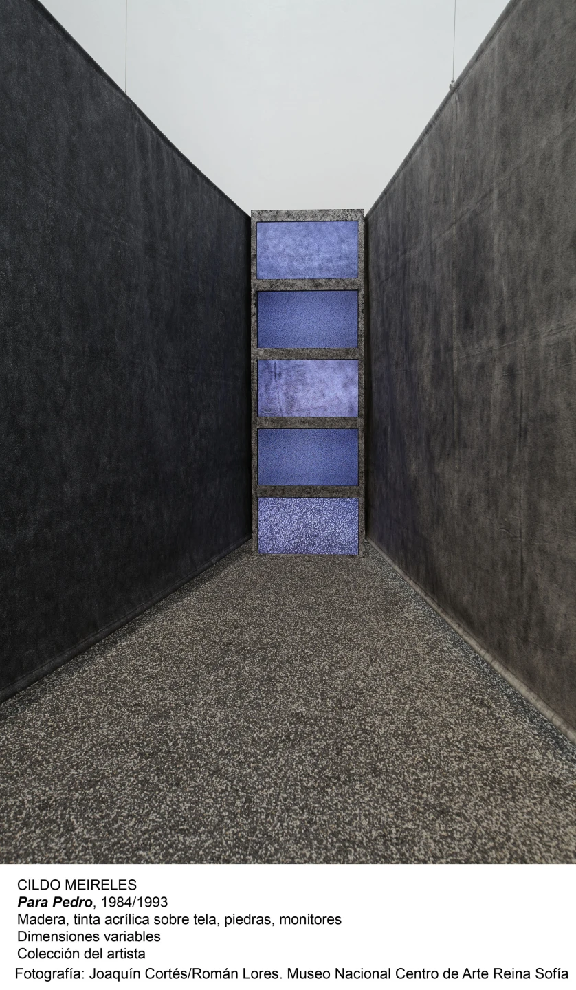 Cildo Meireles, Para Pedro, 1984-1993