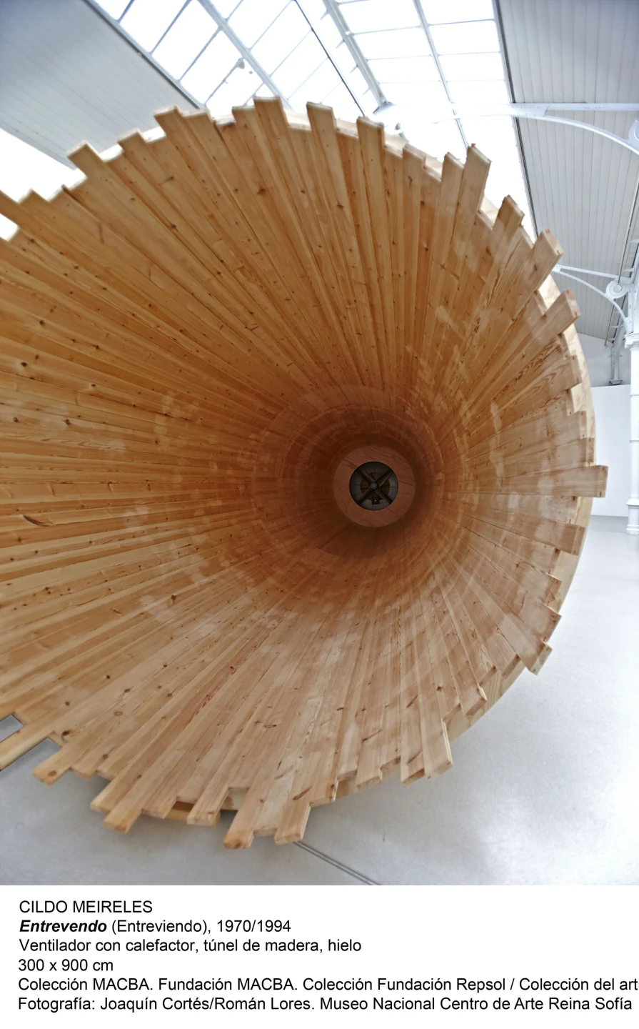 Cildo Meireles, Entrevendo (Entreviendo), 1970/1994