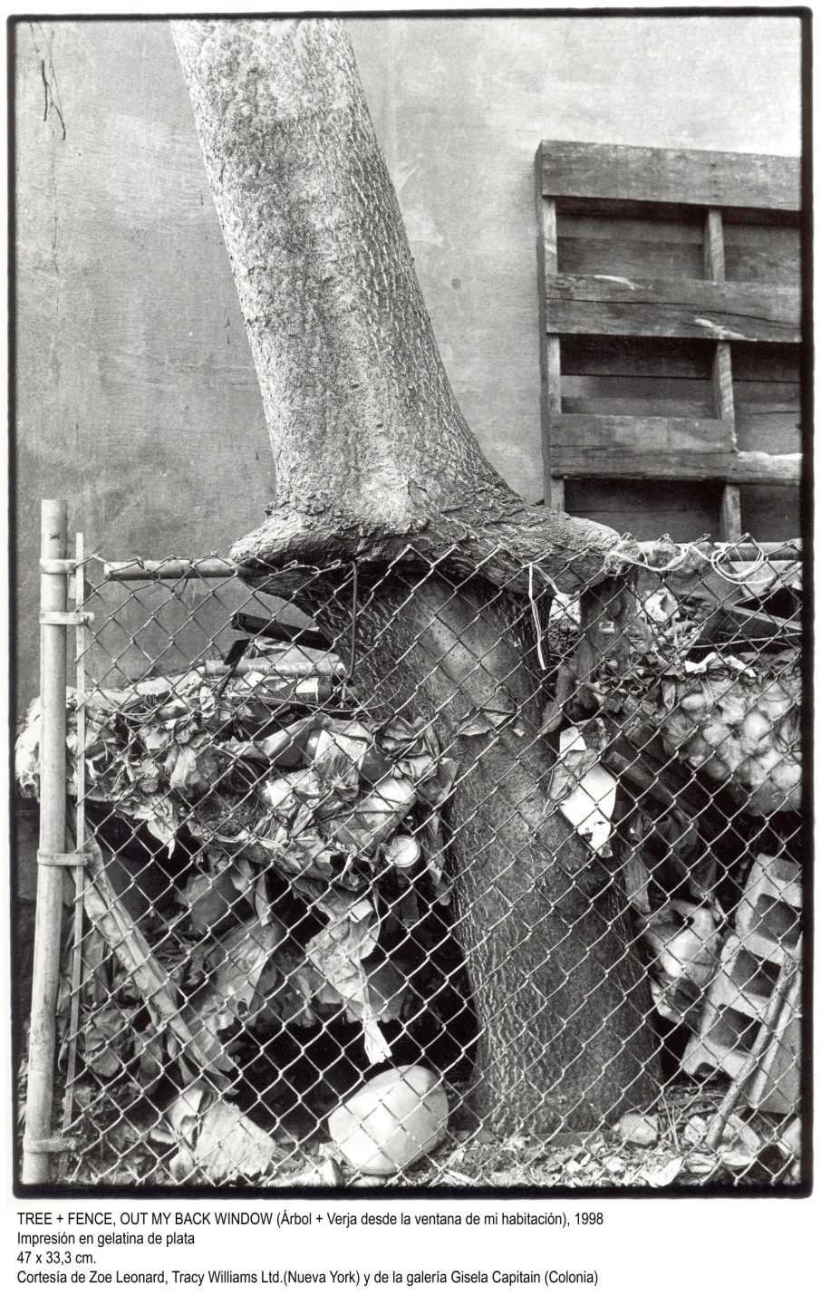 Zoe Leonard. Fotografías(imagen 03)