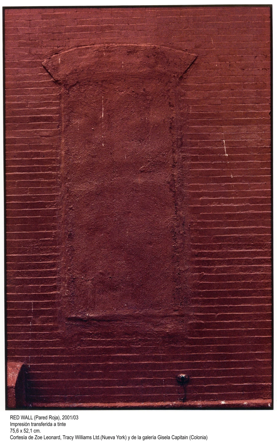 Zoe Leonard. Fotografías(imagen 05)