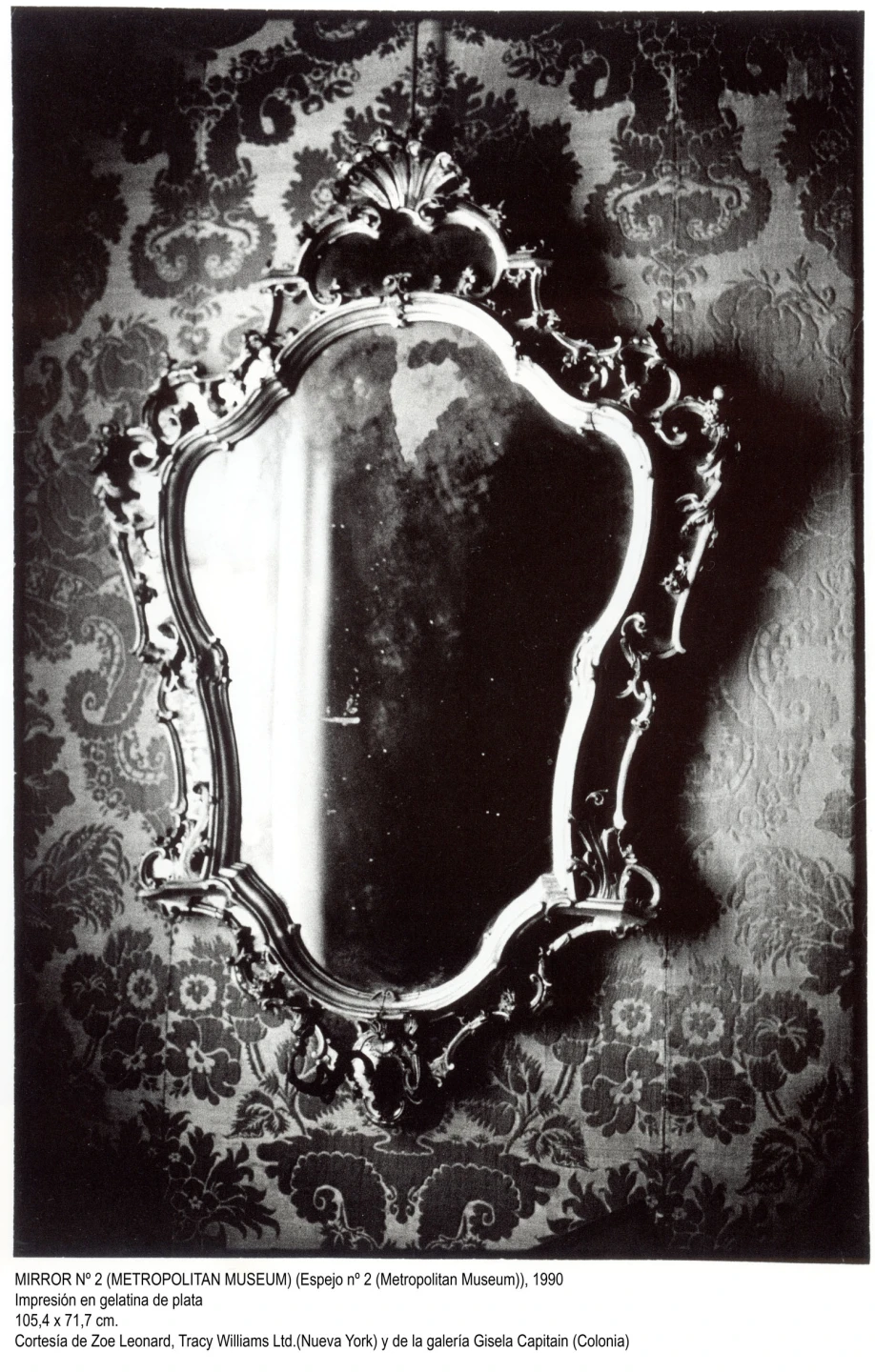 Zoe Leonard. Fotografías(imagen 06)