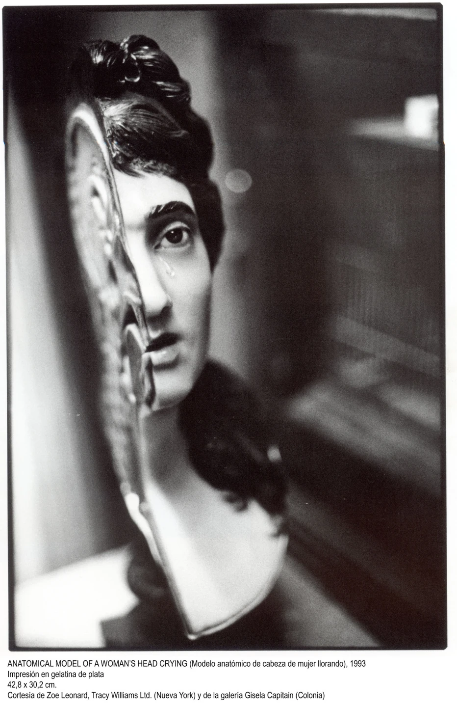 Zoe Leonard. Fotografías(imagen 07)