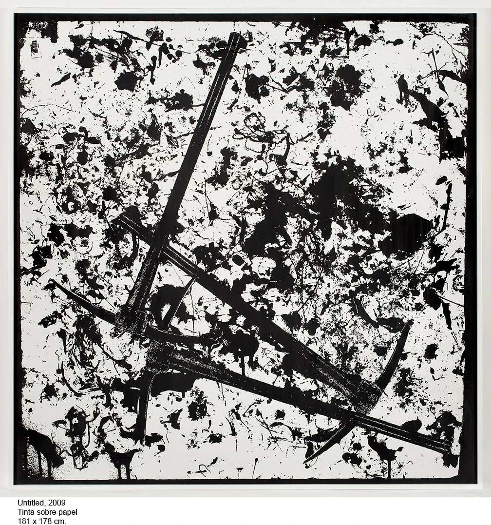 Figure 3. Paul Sietsema (imagen 08)