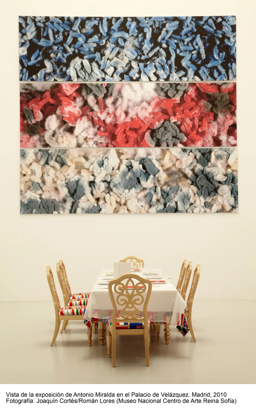 Miralda. De gustibus non disputandum(imagen 04)