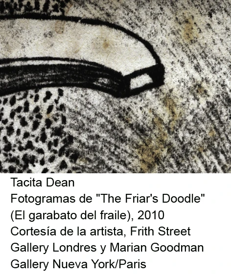 Tacita Dean. El garabato del fraile(imagen 05)