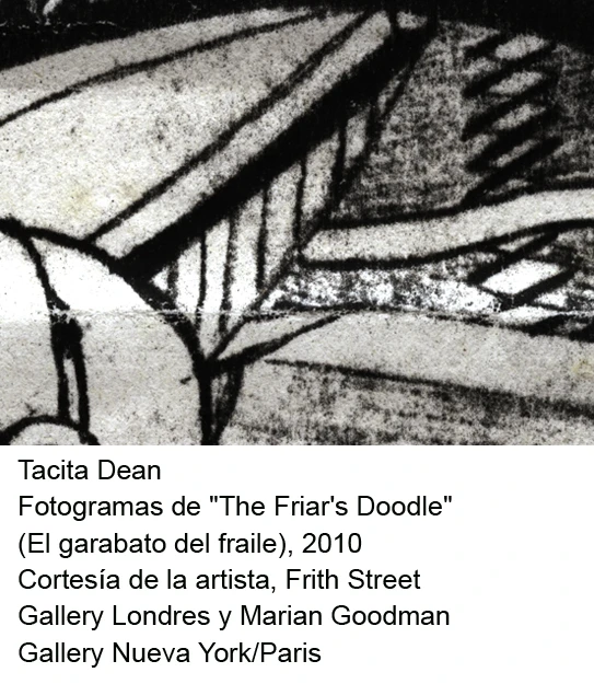 Tacita Dean. El garabato del fraile(imagen 06)