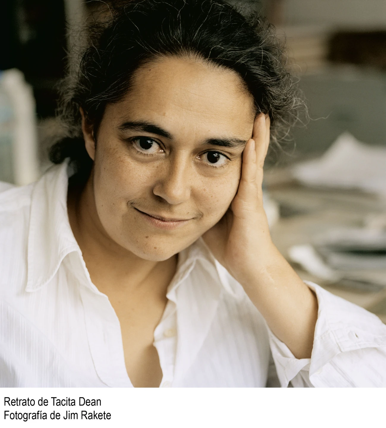 Tacita Dean. El garabato del fraile(imagen 09)