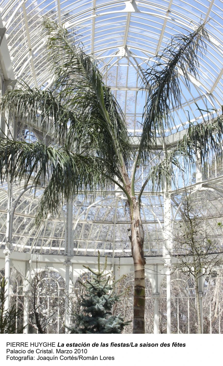 Pierre Huyghe. La estación de las fiestas / La saison des fêtes(imagen 05)