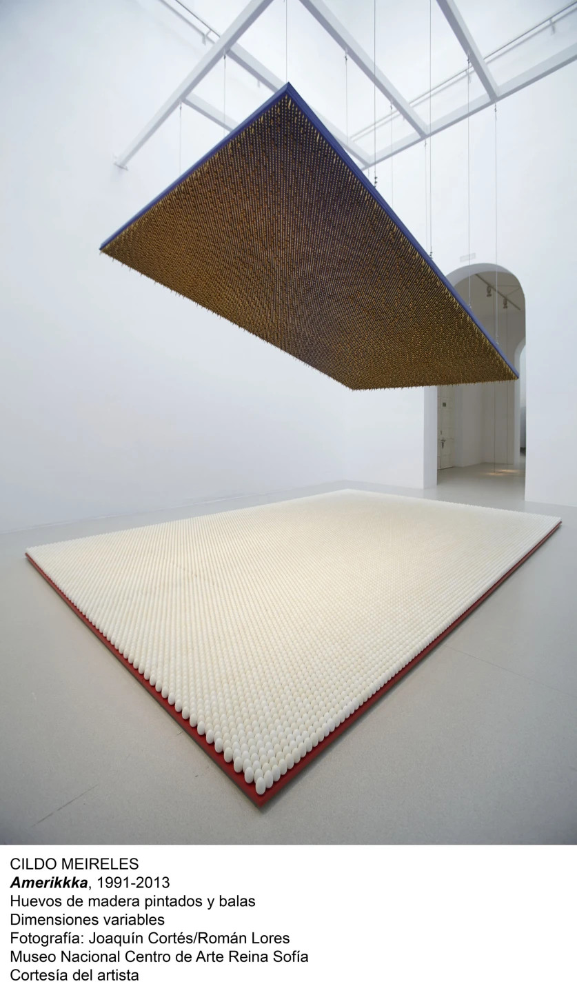 Cildo Meireles, Amerikkka, 1991-2013