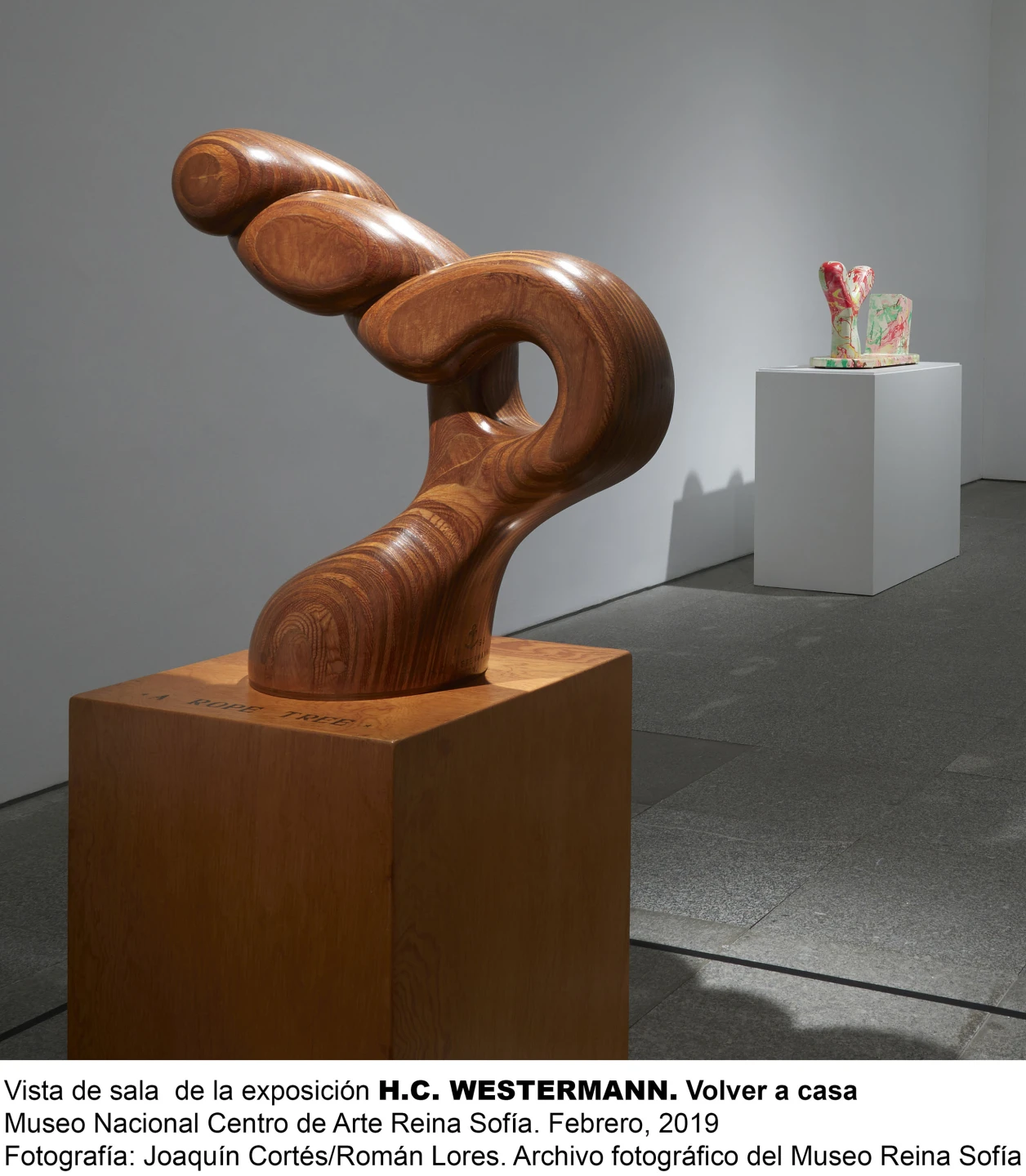 Vista de sala de H.C.Westermann.Volver a casa