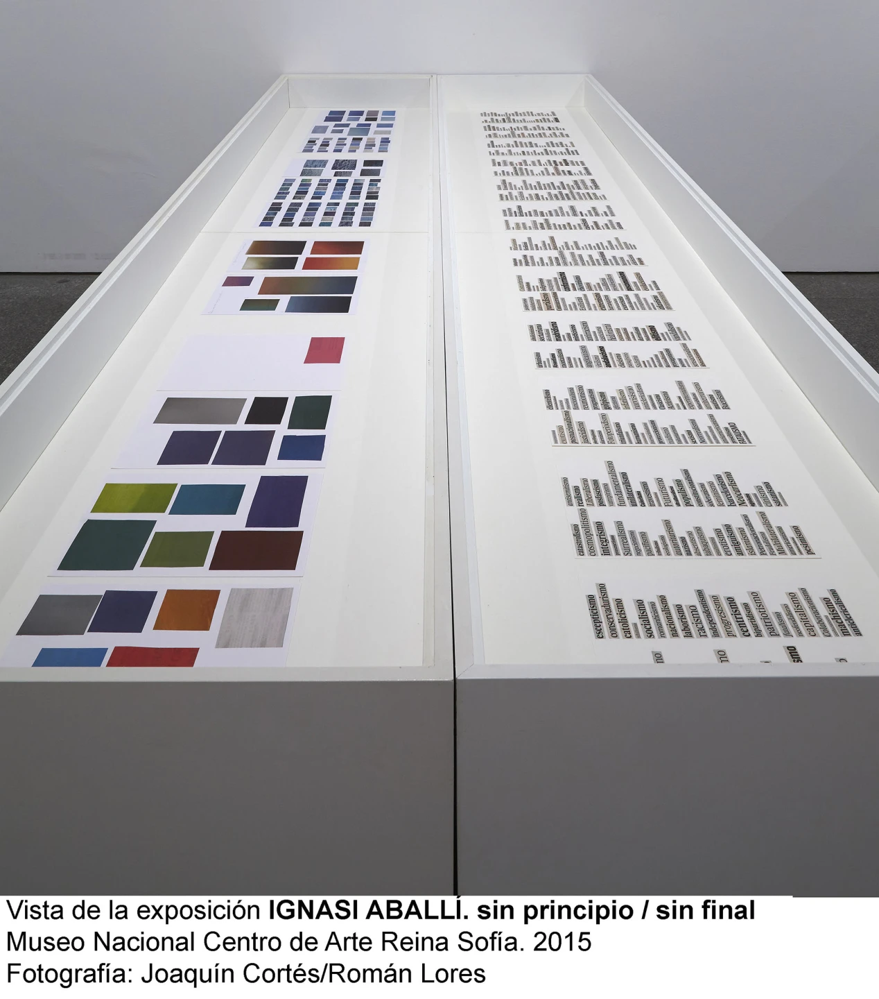 Vista de la exposicion sin principio / sin final. Ignasi Aballí, 2015