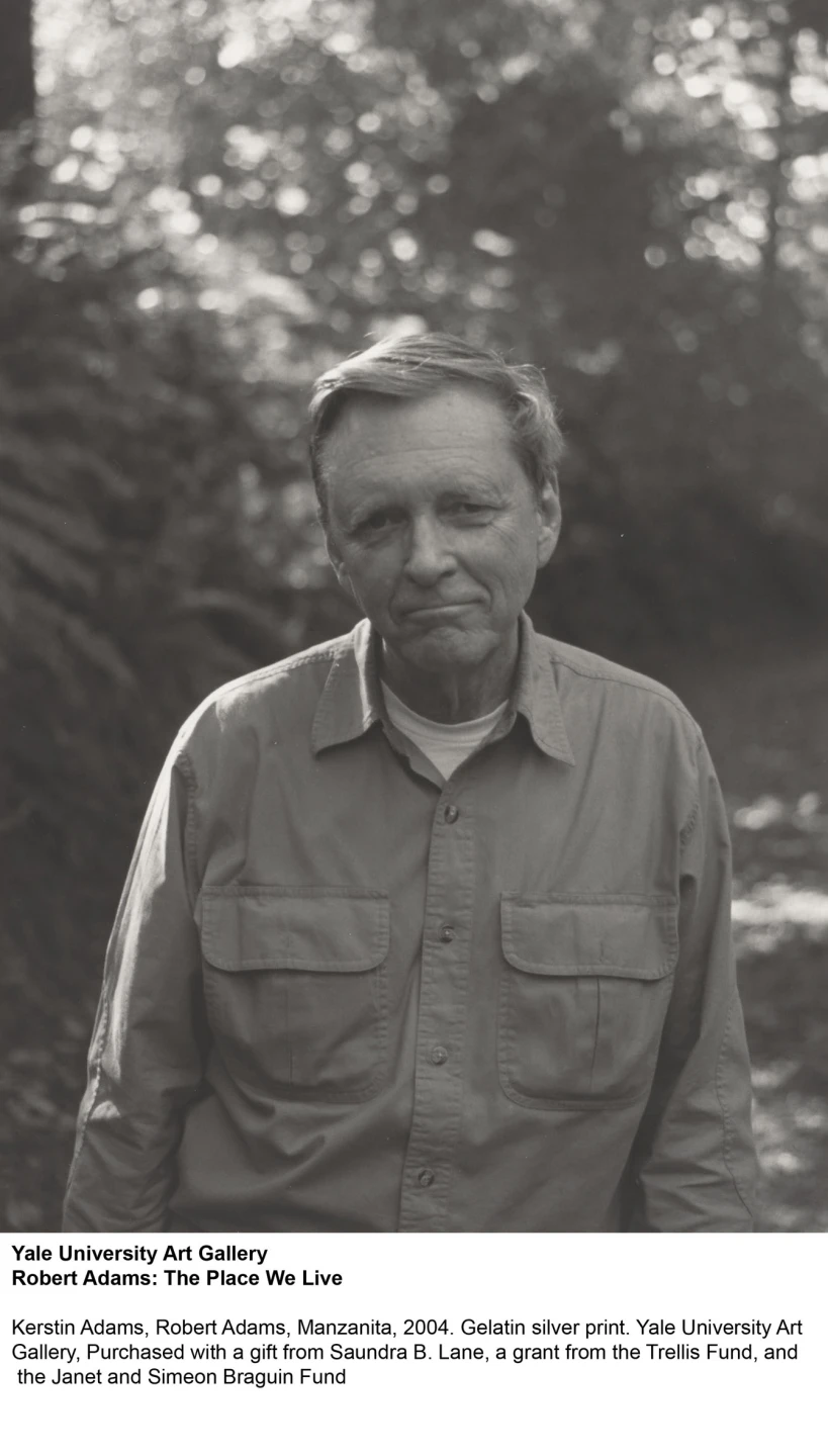 Robert Adams: El lugar donde vivimos. Una selección retrospectiva de fotografías