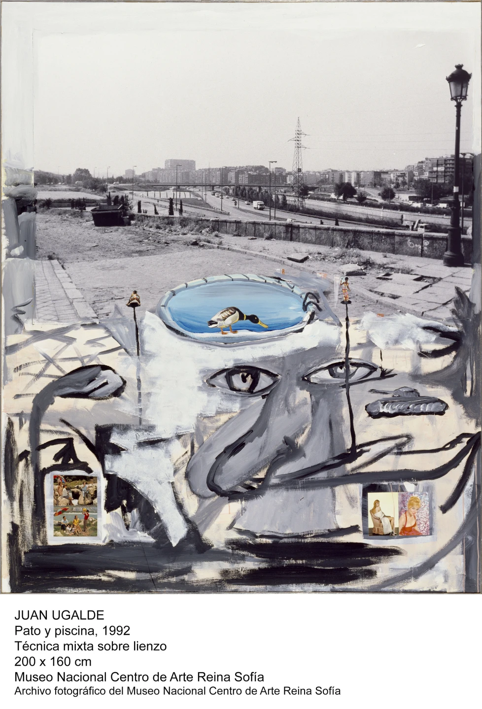 Juan Ugalde, Pato y piscina, 1992