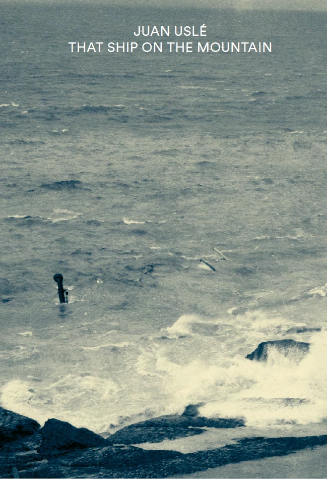 Juan Uslé. That Ship on the Mountain (Publication)