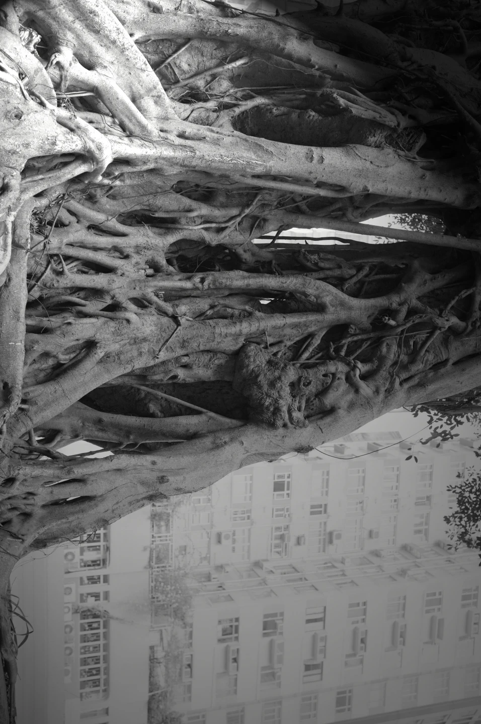 Kassel Jaeger. Umwelten . 2017