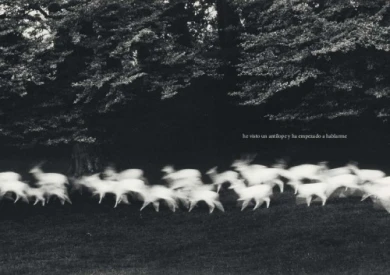 Portada del documento