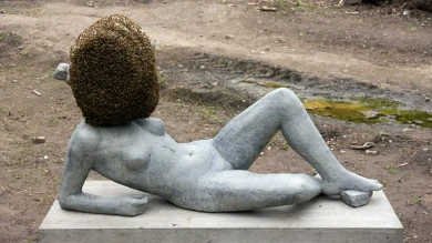 Pierre Huyghe. Sin título. Instalación, 2011-2017