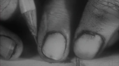 Stephen y Timothy Quay. In Absentia, 2000