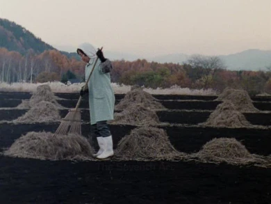 Sharon Lockhart. Nô, 2003