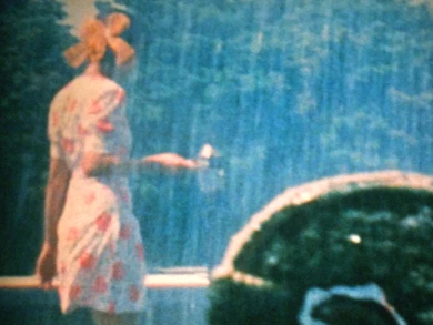 Ute Aurand and Ulrike Pfeiffer. Oh! Die vier Jahreszeiten (Oh! The Four Seasons). Film, 1986–1988