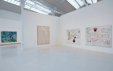 Vista de sala de la exposición Idea: Pintura Fuerza, 2013