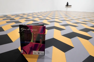 Imagen bookcrossing 2026