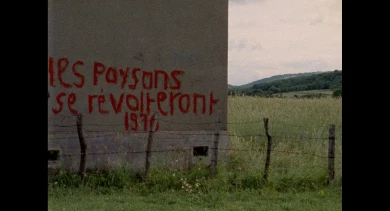 Demasiado pronto, demasiado tarde, 1981, película  