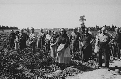 Carlos Pérez de Rozas, Colectivización de propiedades en Calonge, 1937