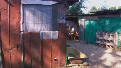 Dorit Margreiter. Poverty Housing. Americus, Georgia, 2008. 35mm, 13:58min, color. FilmstillDorit Margreiter. Poverty Housing. Americus, Georgia, 2008. 35mm, 13:58min, color. Filmstill