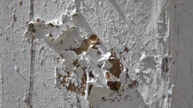 Detalle de la exposición Carlos Bunga. Contra la extravagancia del deseo, Museo Reina Sofía, Palacio de Cristal, 2022