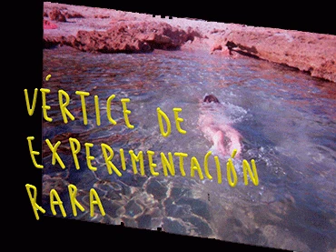 VER (Vértice de Experimentación Rara), colectivo Desmusea