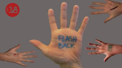 Imagen de Flashback al presente