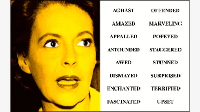 John Baldessari, Prima Facie (Third State): From Aghast to Upset [Prima Facie (tercer estado): de aterrado a disgustado], 2005. Museo Reina Sofía