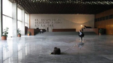 Teatralidades expandidas. Modelos gestuales y repertorios disidentes