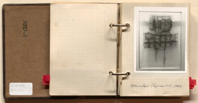 Detalle del archivo fotográfico de Manuel Rivera. Manuel Rivera, Metamorfosis (Capricho VIII), 1963. Archivo Manuel Rivera. Biblioteca y Centro de Documentación del Museo Reina Sofía