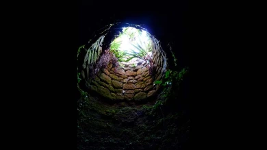 Pozo de luz y aire, imagen de sueño. A Tamara Díaz Bringas de Alejandra Riera. Junio de 2013