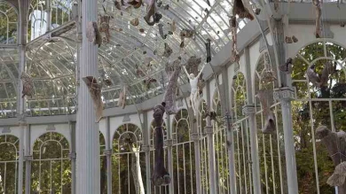 Vista de sala de la exposición Danh Vō. Destierra a los sin rostro / Premia tu gracia (Banish the Faceless / Reward your Grace), 2015