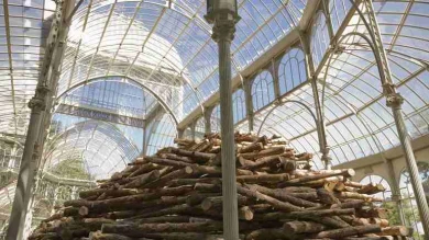 Vista de sala de la exposición. Andy Goldsworthy (En las entrañas del árbol), 2007