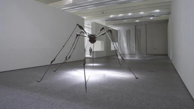 Vista de sala de la exposición em>La visión impura. Fondos de la colección permanente, 2006