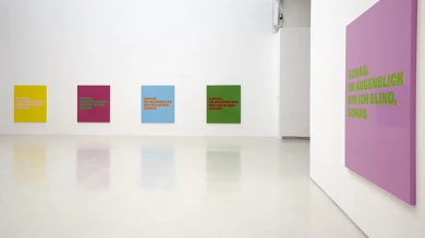 Vista de sala de la exposición Rémy Zaugg. Cuestiones de percepción, 2016