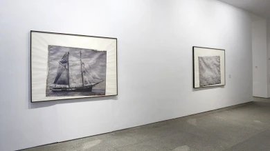 Vista de sala de la exposición. Figure 3. Paul Sietsema, 2009