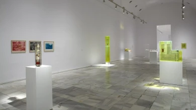 Vista de sala de la exposición. Paul Thek, 2009