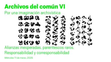 Alianzas inesperadas, parentescos raros. Responsabilidad y corresponsabilidad. Archivos del Común VI (multimedia vídeo)